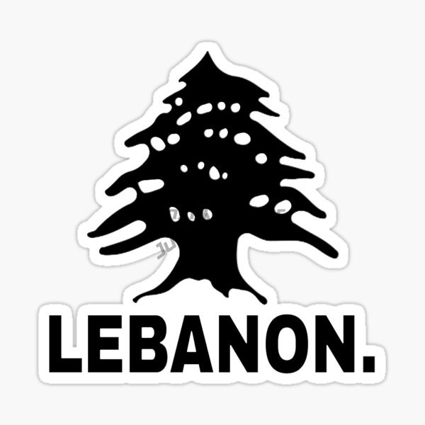 Naklejki na samochód z flagą n – Car Accessories Lebanon recenzja i cena